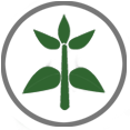 AGRICULTURA